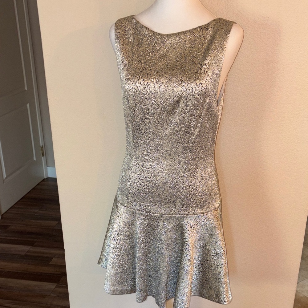 Alice + Olivia “Lora” drop waist silver metallic dress